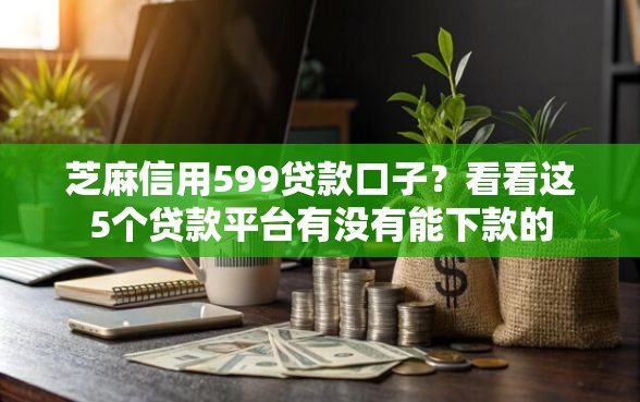 芝麻信用599贷款口子？看看这5个贷款平台有没有能下款的