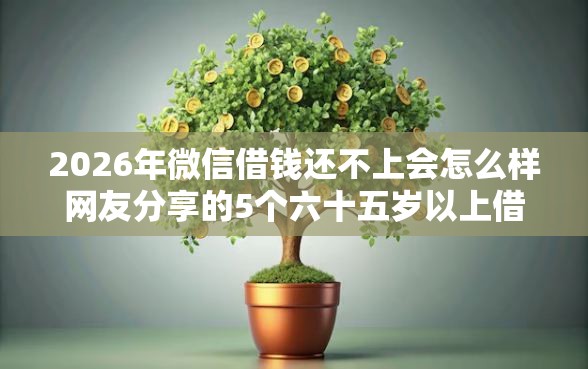 2026年微信借钱还不上会怎么样网友分享的5个六十五岁以上借款平台我觉得不错！