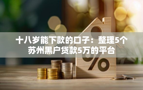十八岁能下款的口子：整理5个苏州黑户贷款5万的平台