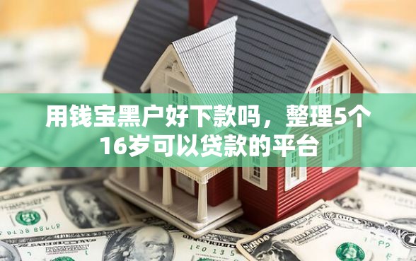 用钱宝黑户好下款吗，整理5个16岁可以贷款的平台