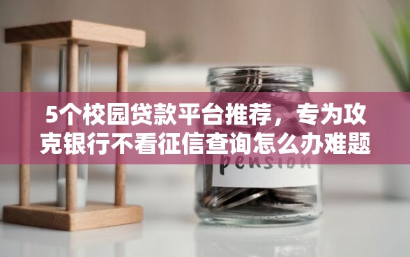 5个校园贷款平台推荐，专为攻克银行不看征信查询怎么办难题