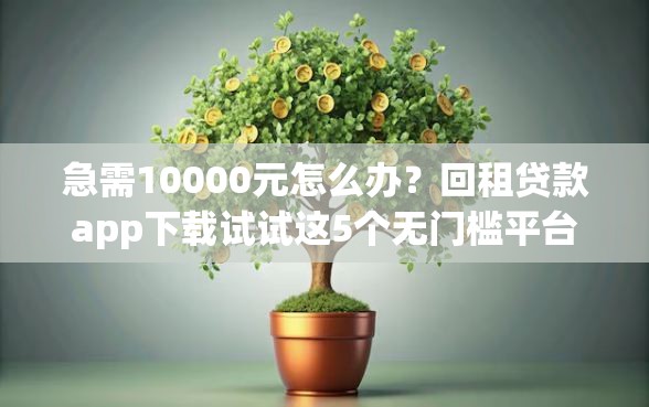 急需10000元怎么办？回租贷款app下载试试这5个无门槛平台