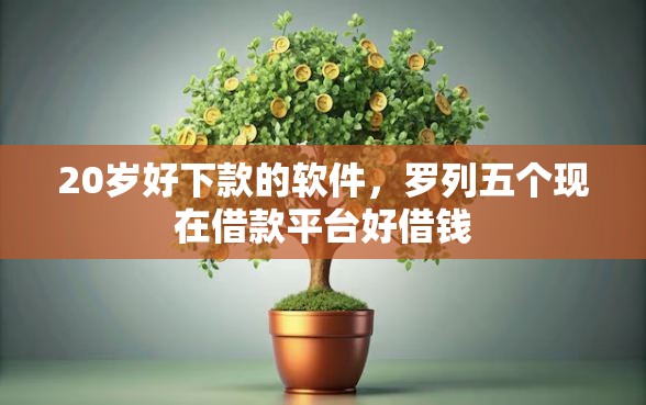 20岁好下款的软件，罗列五个现在借款平台好借钱