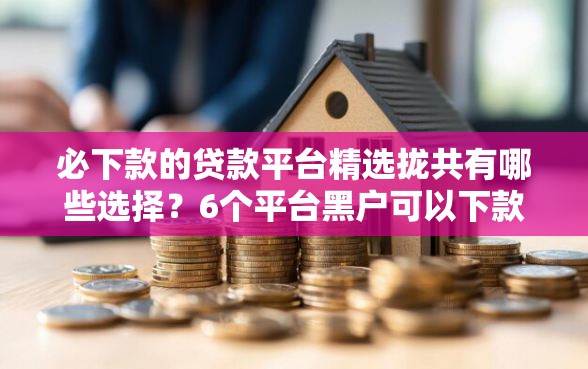 必下款的贷款平台精选拢共有哪些选择？6个平台黑户可以下款的那种详解