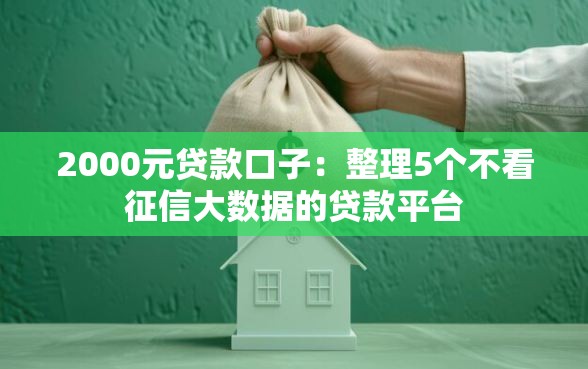 2000元贷款口子：整理5个不看征信大数据的贷款平台