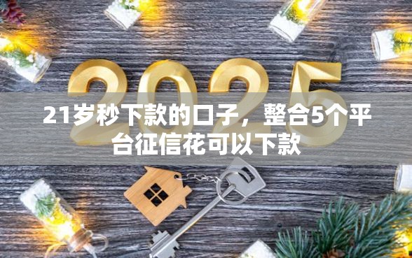 21岁秒下款的口子，整合5个平台征信花可以下款