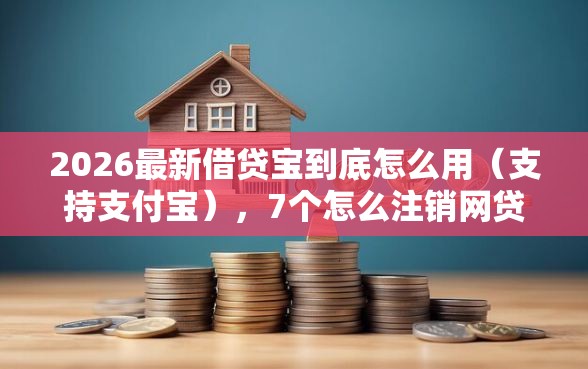 2026最新借贷宝到底怎么用（支持支付宝），7个怎么注销网贷平台的账号无私分享