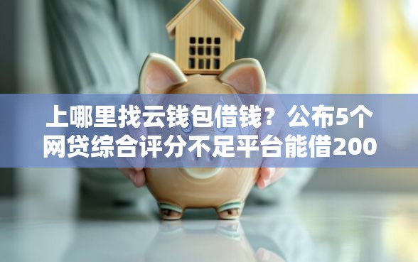 上哪里找云钱包借钱？公布5个网贷综合评分不足平台能借2000块急用