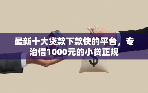 最新十大贷款下款快的平台，专治借1000元的小贷正规