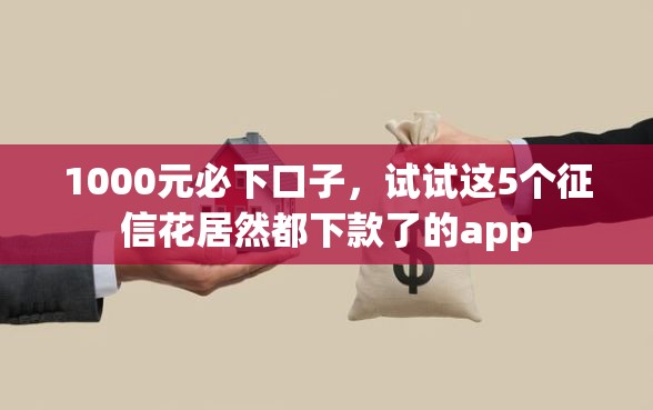 1000元必下口子，试试这5个征信花居然都下款了的app