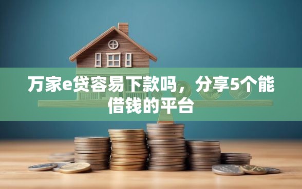 万家e贷容易下款吗，分享5个能借钱的平台