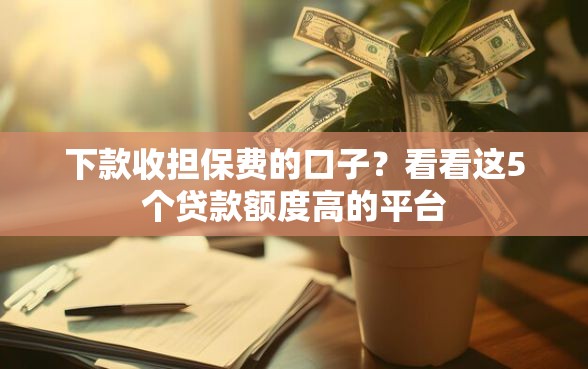 下款收担保费的口子？看看这5个贷款额度高的平台