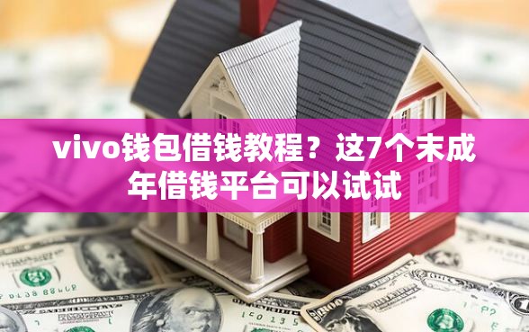 vivo钱包借钱教程？这7个末成年借钱平台可以试试