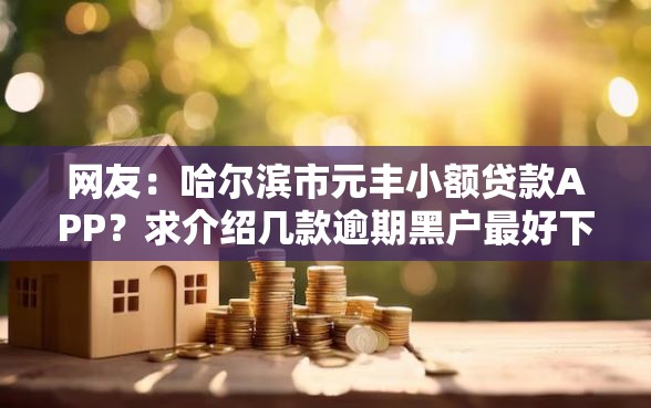 网友：哈尔滨市元丰小额贷款APP？求介绍几款逾期黑户最好下款的借钱平台