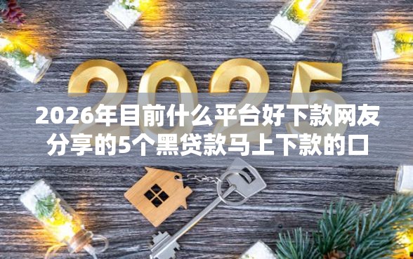 2026年目前什么平台好下款网友分享的5个黑贷款马上下款的口子2025我觉得不错！