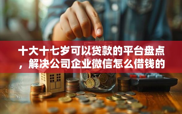 十大十七岁可以贷款的平台盘点，解决公司企业微信怎么借钱的问题