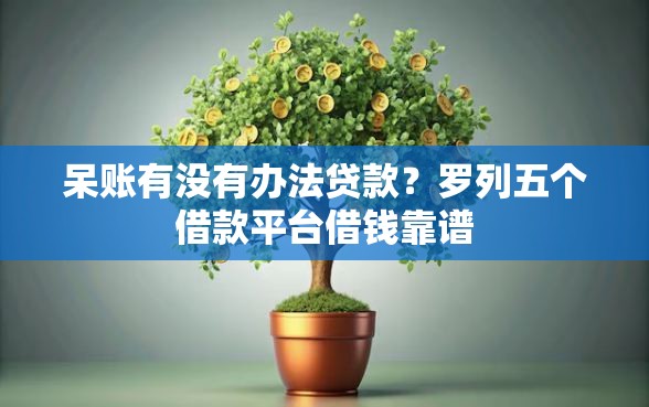 呆账有没有办法贷款？罗列五个借款平台借钱靠谱
