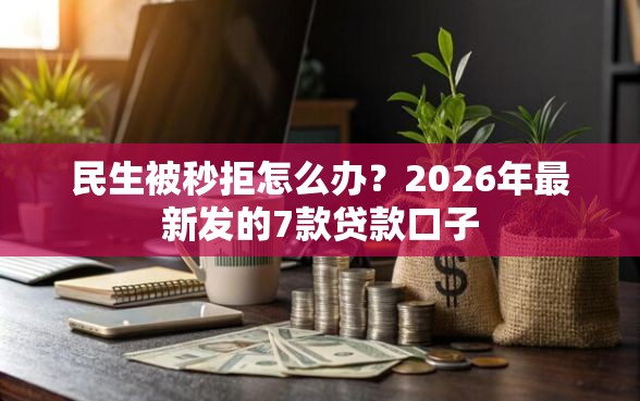 民生被秒拒怎么办？2026年最新发的7款贷款口子