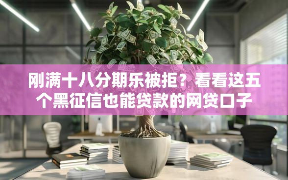 刚满十八分期乐被拒？看看这五个黑征信也能贷款的网贷口子