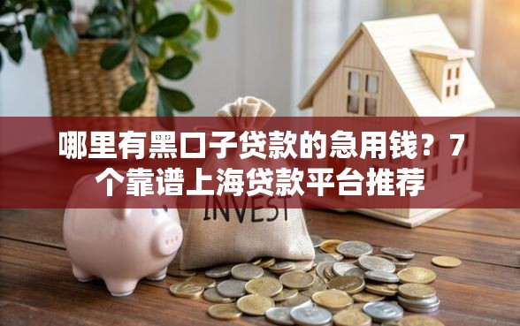 哪里有黑口子贷款的急用钱？7个靠谱上海贷款平台推荐