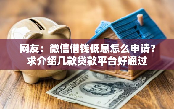 网友：微信借钱低息怎么申请？求介绍几款贷款平台好通过