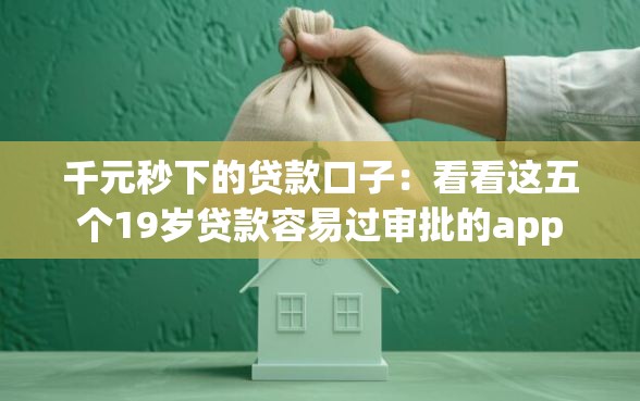 千元秒下的贷款口子：看看这五个19岁贷款容易过审批的app