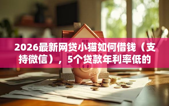 2026最新网贷小猫如何借钱（支持微信），5个贷款年利率低的平台无私分享