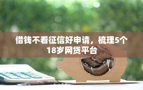 借钱不看征信好申请，梳理5个18岁网贷平台