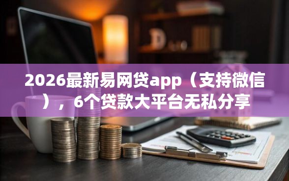 2026最新易网贷app（支持微信），6个贷款大平台无私分享