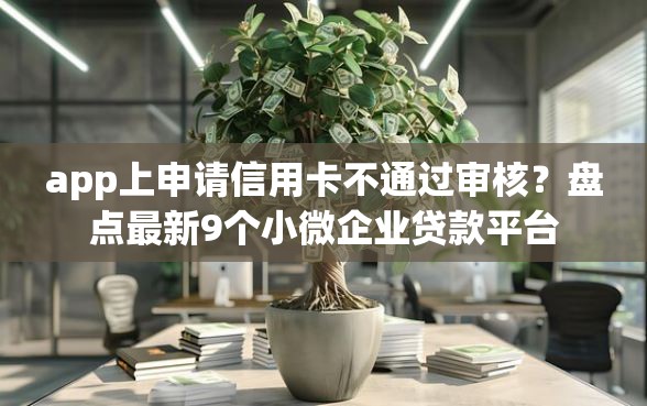 app上申请信用卡不通过审核？盘点最新9个小微企业贷款平台