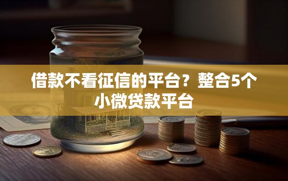 借款不看征信的平台？整合5个小微贷款平台