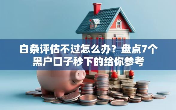 白条评估不过怎么办？盘点7个黑户口子秒下的给你参考