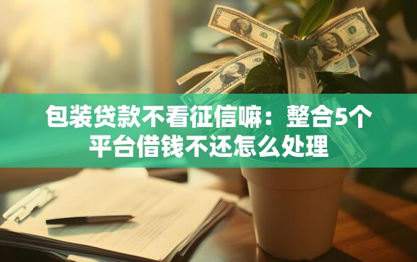 包装贷款不看征信嘛：整合5个平台借钱不还怎么处理