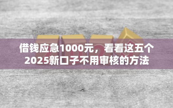 借钱应急1000元，看看这五个2025新口子不用审核的方法