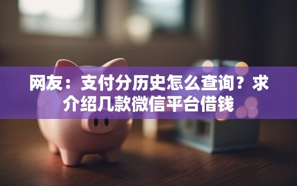 网友：支付分历史怎么查询？求介绍几款微信平台借钱