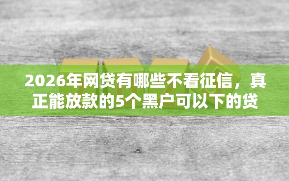 2026年网贷有哪些不看征信，真正能放款的5个黑户可以下的贷款软件推荐