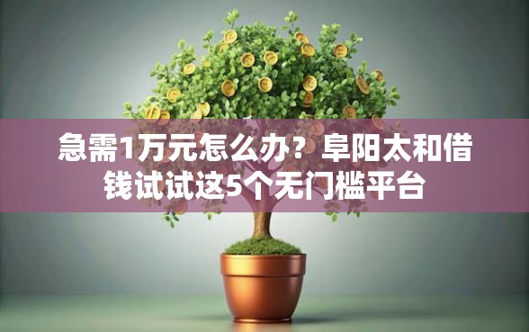 急需1万元怎么办？阜阳太和借钱试试这5个无门槛平台