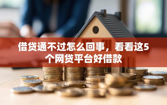 借贷通不过怎么回事，看看这5个网贷平台好借款