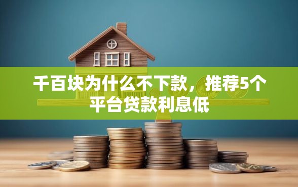 千百块为什么不下款，推荐5个平台贷款利息低