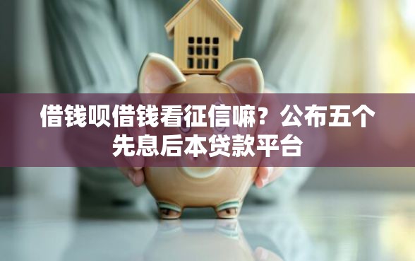 借钱呗借钱看征信嘛？公布五个先息后本贷款平台