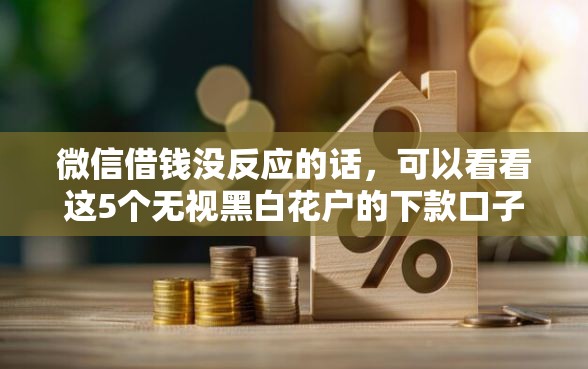 微信借钱没反应的话，可以看看这5个无视黑白花户的下款口子