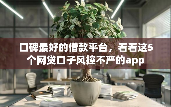 口碑最好的借款平台，看看这5个网贷口子风控不严的app