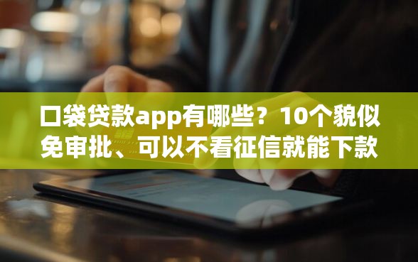 口袋贷款app有哪些？10个貌似免审批、可以不看征信就能下款的软件合集