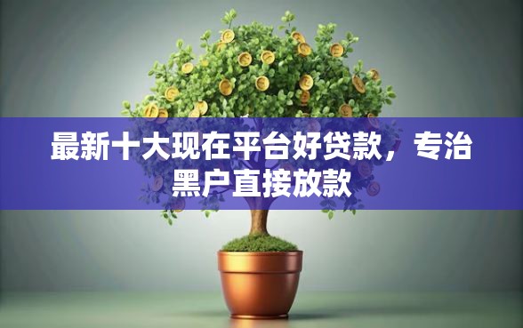 最新十大现在平台好贷款，专治黑户直接放款
