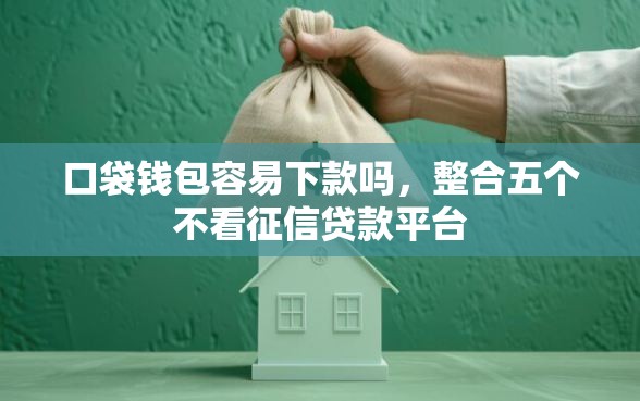 口袋钱包容易下款吗，整合五个不看征信贷款平台