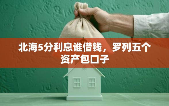北海5分利息谁借钱，罗列五个资产包口子