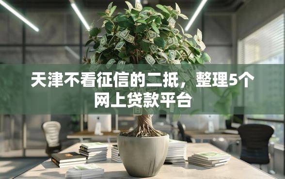 天津不看征信的二抵，整理5个网上贷款平台