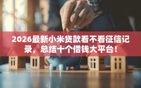 2026最新小米贷款看不看征信记录,总结十个借钱大平台! 2026最新小米贷款看不看征信记录,总结十个借钱大平台!