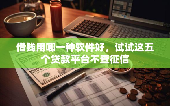 借钱用哪一种软件好，试试这五个贷款平台不查征信