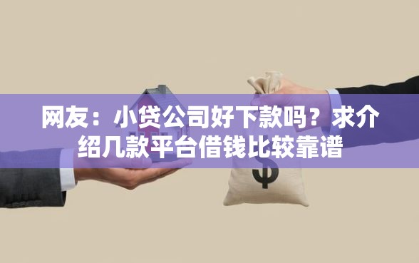 网友：小贷公司好下款吗？求介绍几款平台借钱比较靠谱